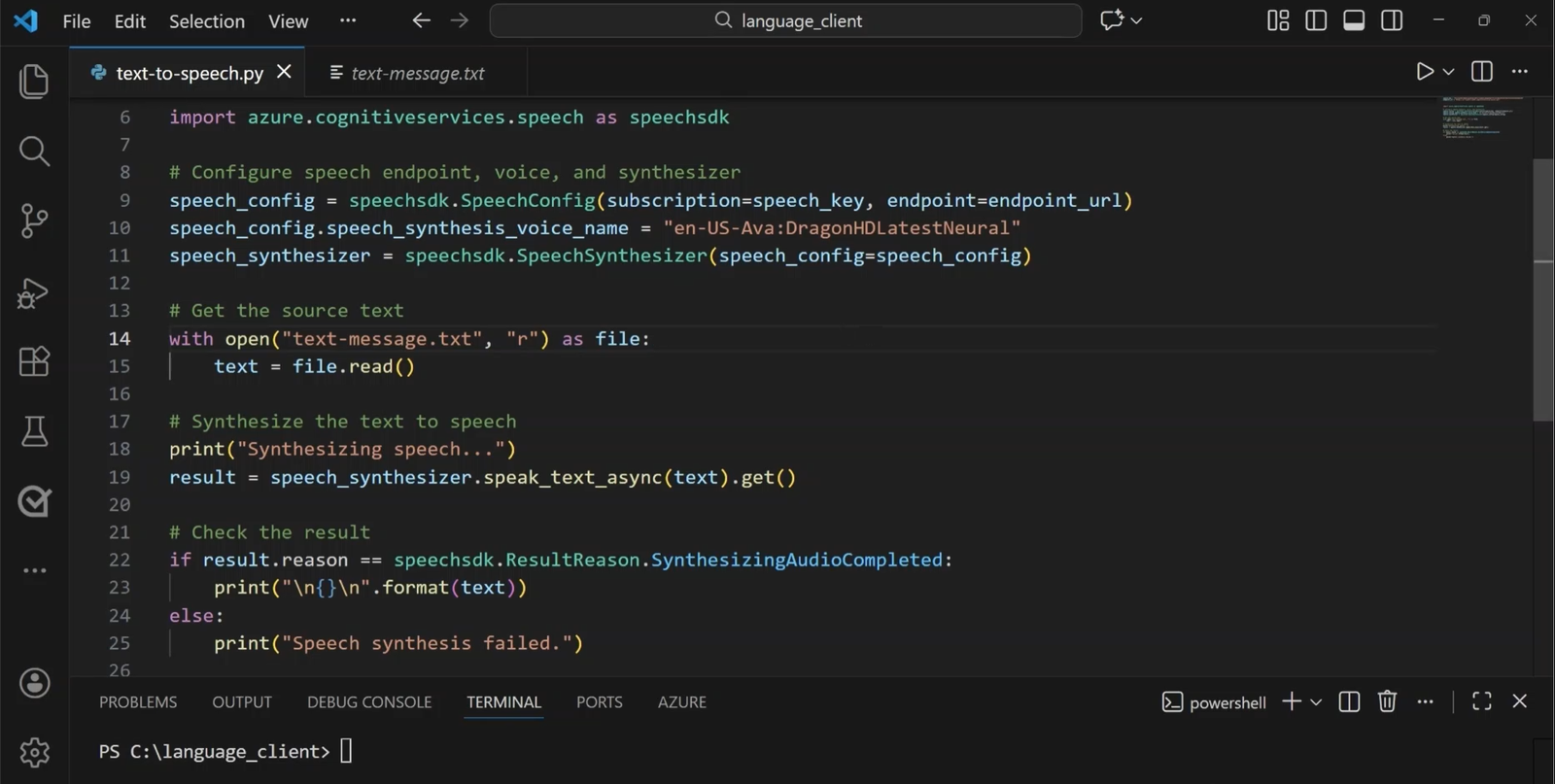Original screenshot of the Python speech-synthesis client.
