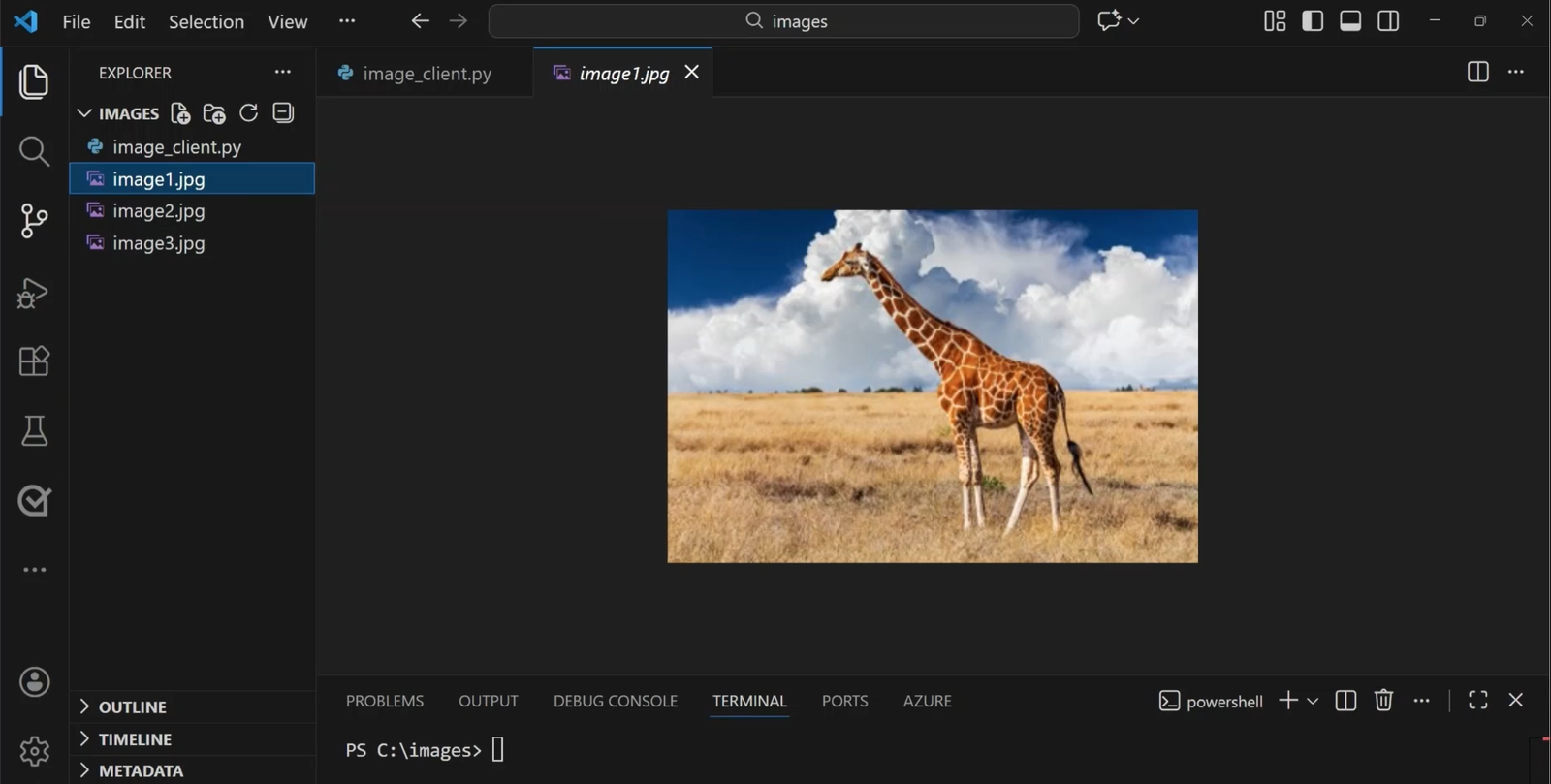 Captura original de uma fotografia aberta no Visual Studio Code.